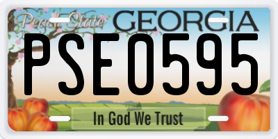 GA license plate PSE0595