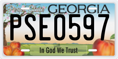 GA license plate PSE0597
