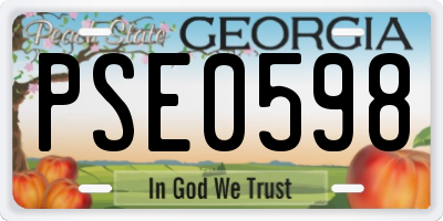 GA license plate PSE0598