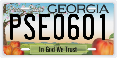 GA license plate PSE0601