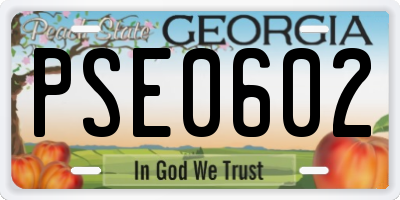 GA license plate PSE0602