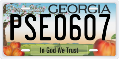 GA license plate PSE0607