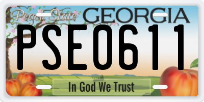 GA license plate PSE0611