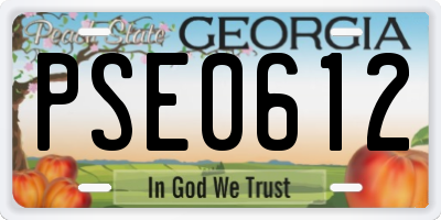 GA license plate PSE0612