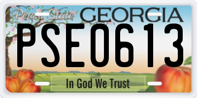 GA license plate PSE0613