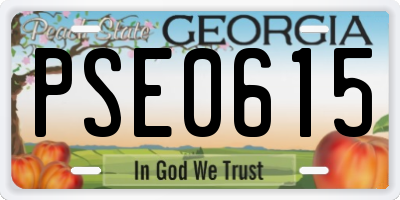 GA license plate PSE0615
