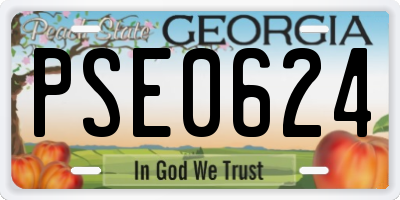 GA license plate PSE0624