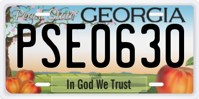 GA license plate PSE0630