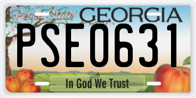 GA license plate PSE0631