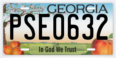 GA license plate PSE0632