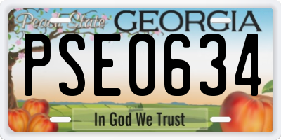 GA license plate PSE0634
