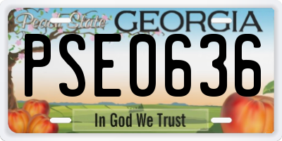 GA license plate PSE0636