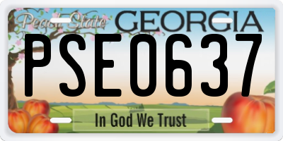 GA license plate PSE0637