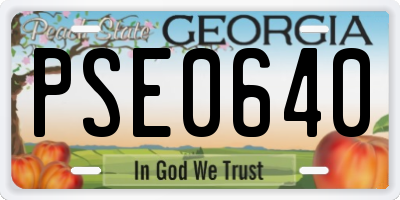 GA license plate PSE0640