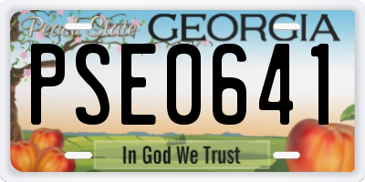 GA license plate PSE0641