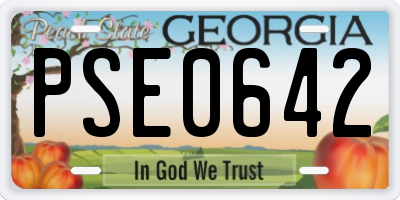 GA license plate PSE0642