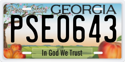 GA license plate PSE0643