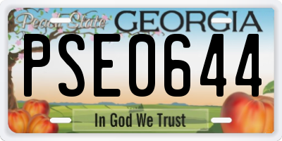 GA license plate PSE0644