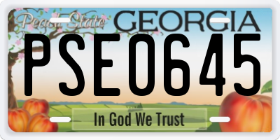 GA license plate PSE0645