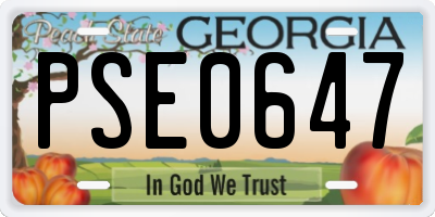 GA license plate PSE0647