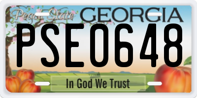 GA license plate PSE0648