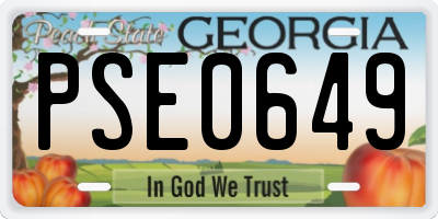 GA license plate PSE0649