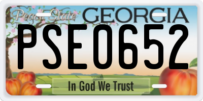 GA license plate PSE0652