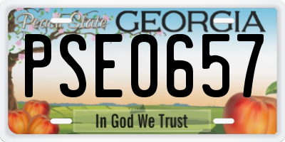 GA license plate PSE0657