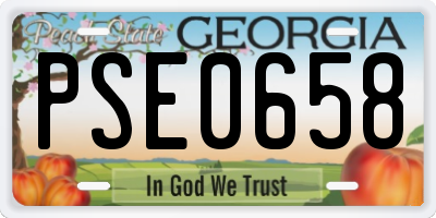 GA license plate PSE0658