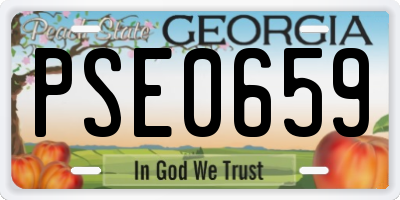 GA license plate PSE0659