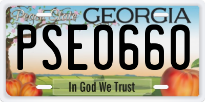 GA license plate PSE0660