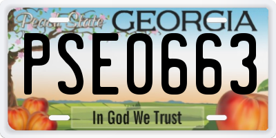 GA license plate PSE0663