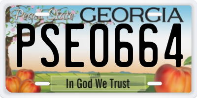 GA license plate PSE0664