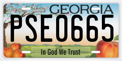 GA license plate PSE0665