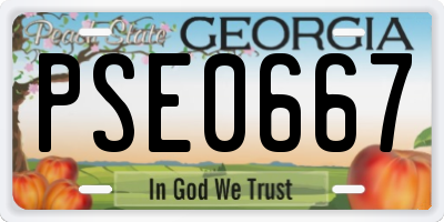 GA license plate PSE0667