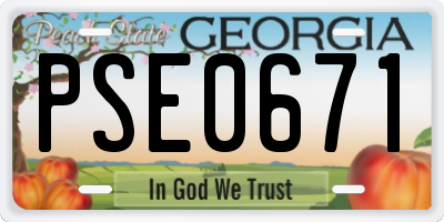 GA license plate PSE0671