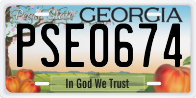 GA license plate PSE0674