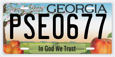 GA license plate PSE0677