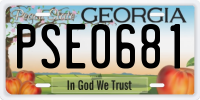 GA license plate PSE0681