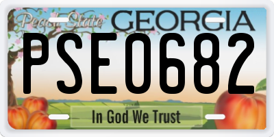 GA license plate PSE0682