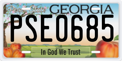GA license plate PSE0685