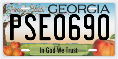 GA license plate PSE0690