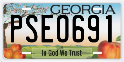 GA license plate PSE0691