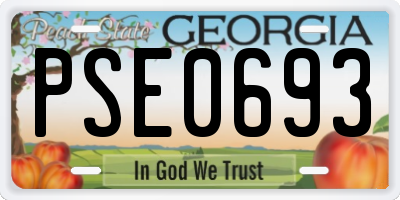GA license plate PSE0693