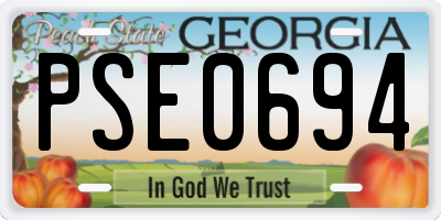 GA license plate PSE0694