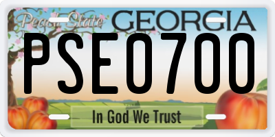 GA license plate PSE0700
