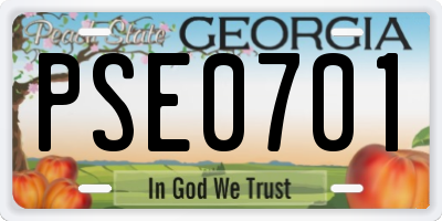 GA license plate PSE0701