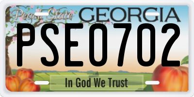 GA license plate PSE0702