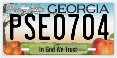 GA license plate PSE0704