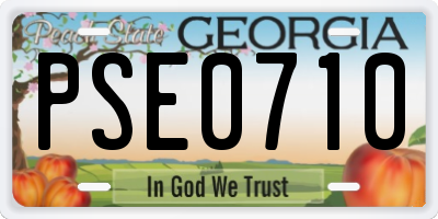 GA license plate PSE0710